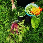 Moniowka בית חווה Nowe Kawkowo