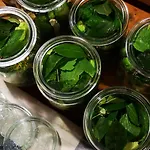 Moniowka * Nowe Kawkowo