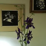 בית חווה Moniowka *