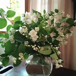 Moniowka Nowe Kawkowo