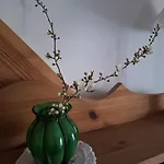 مزرعة للإقامة Moniowka Nowe Kawkowo