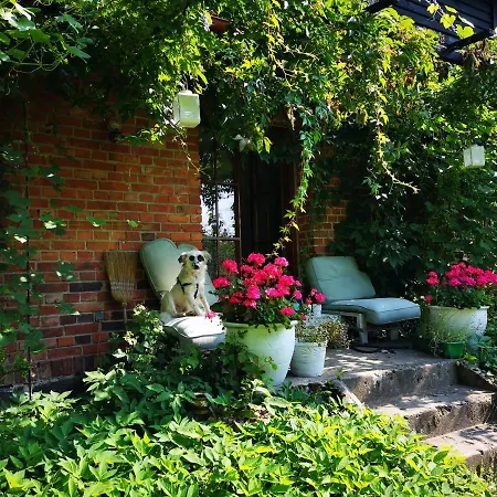 Agroturismo Moniówka Nowe Kawkowo