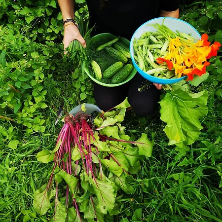 Moniowka Farmház Nowe Kawkowo