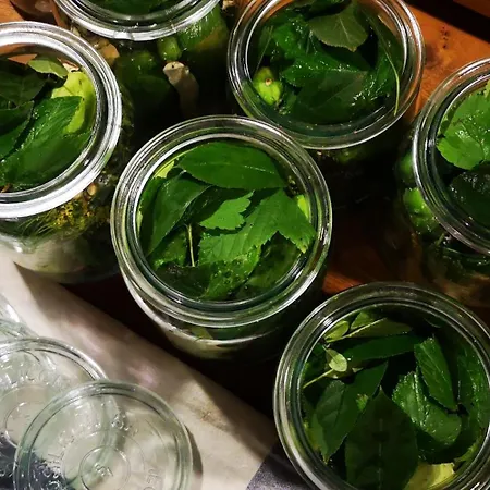 Moniowka * Nowe Kawkowo