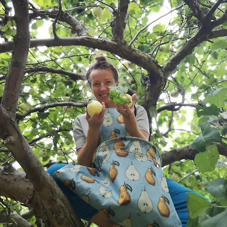Çiftlik konaklama Moniowka *