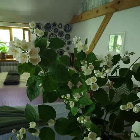 Moniowka Nowe Kawkowo