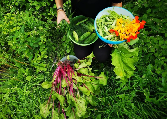 Moniowka Farma Nowe Kawkowo