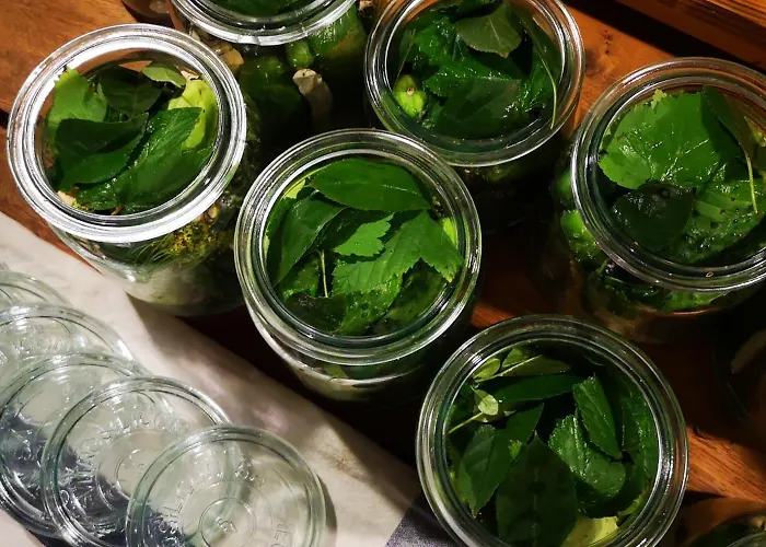 Moniowka * Nowe Kawkowo